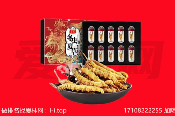 五峰县回收虫草.jpg